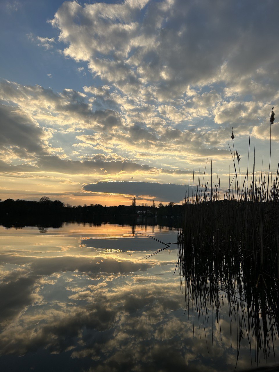 Am Ende des Waldes steht ein Haus am See